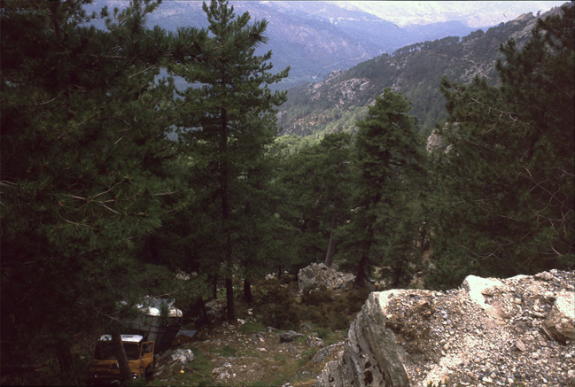 n_47_aw2-col-de sorba_1987.jpg
